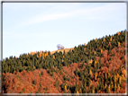 foto Da Rocca di Arsie al Col di Baio